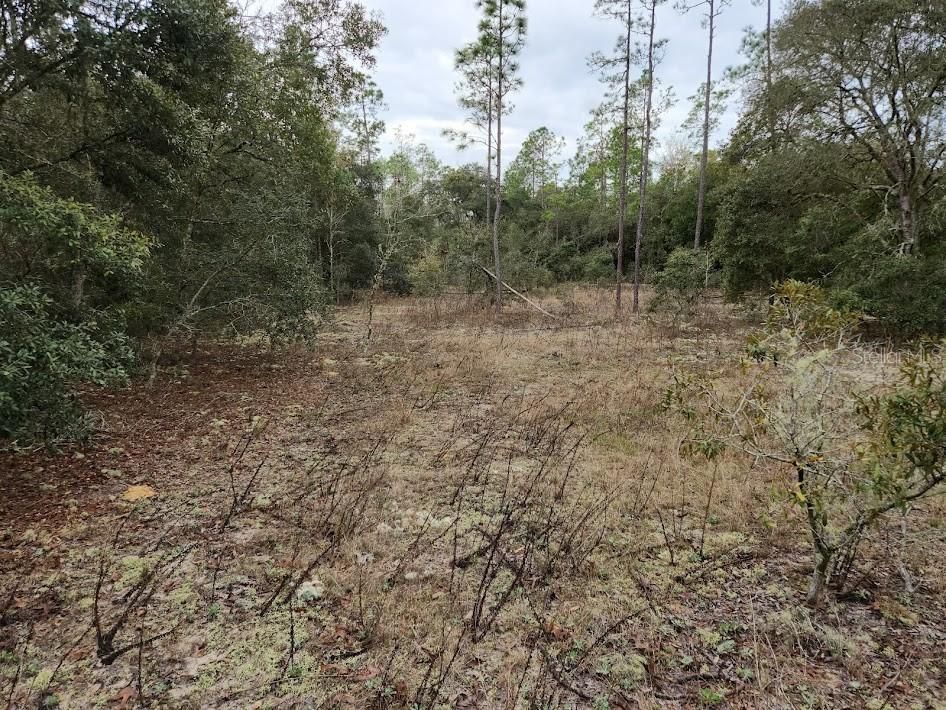 For Sale: $28,900 (1.01 acres)