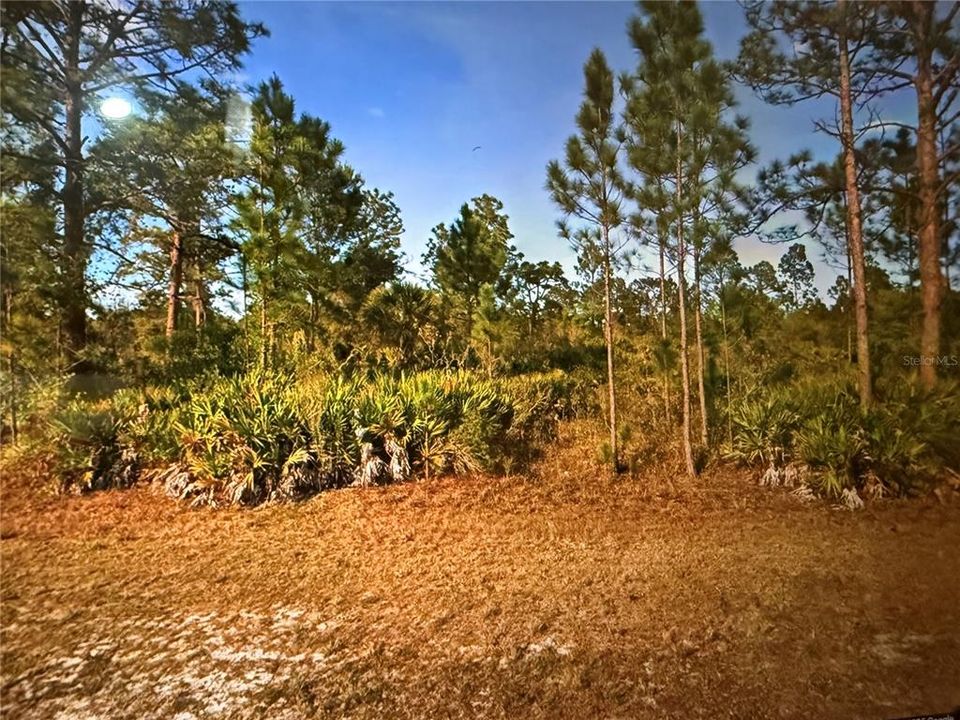 For Sale: $25,000 (0.50 acres)