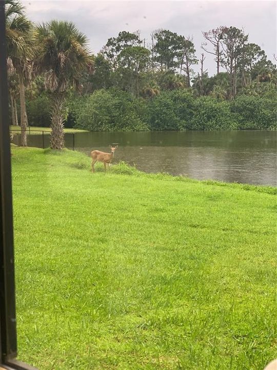 На продажу: $885,000 (4 спален, 4 ванн, 4028 Квадратных фут)