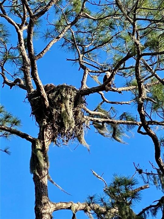 На продажу: $885,000 (4 спален, 4 ванн, 4028 Квадратных фут)