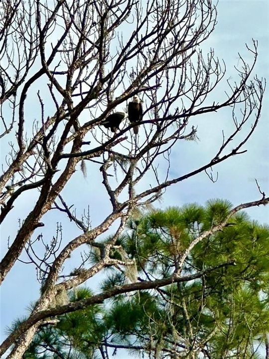 На продажу: $885,000 (4 спален, 4 ванн, 4028 Квадратных фут)