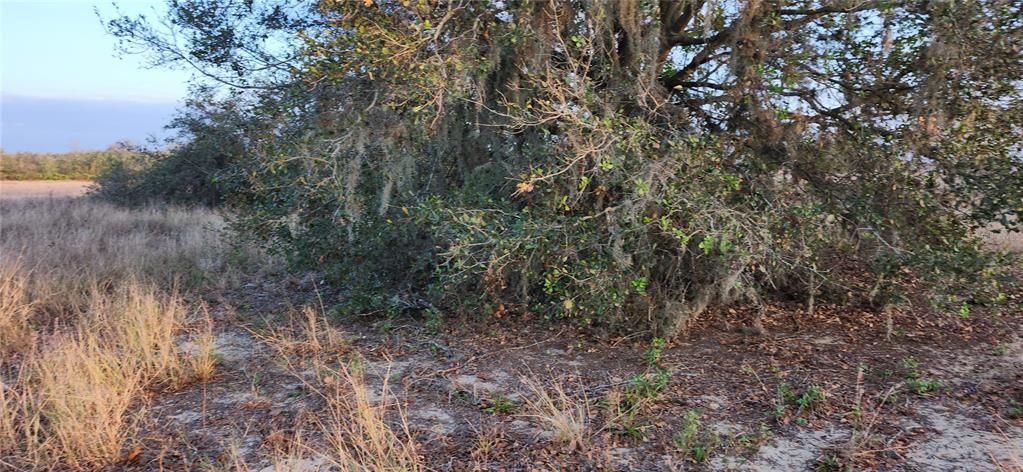 For Sale: $24,500 (0.38 acres)