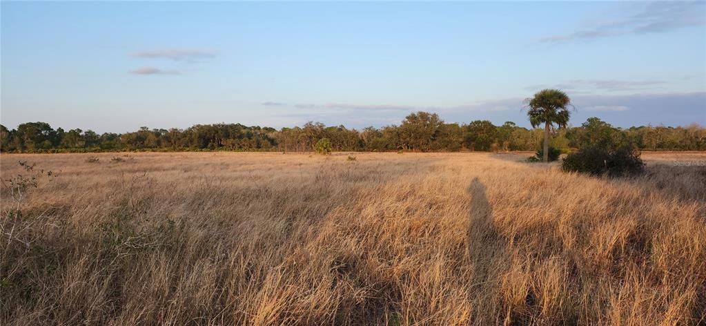 For Sale: $24,500 (0.38 acres)