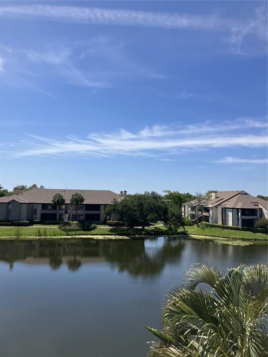For Rent: $2,500 (2 beds, 2 baths, 1016 Square Feet)