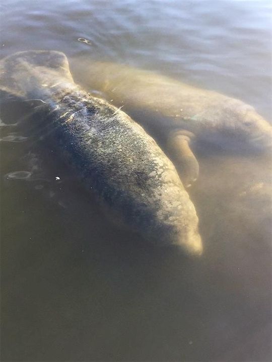 For Sale: $174,900 (2 beds, 2 baths, 1440 Square Feet)