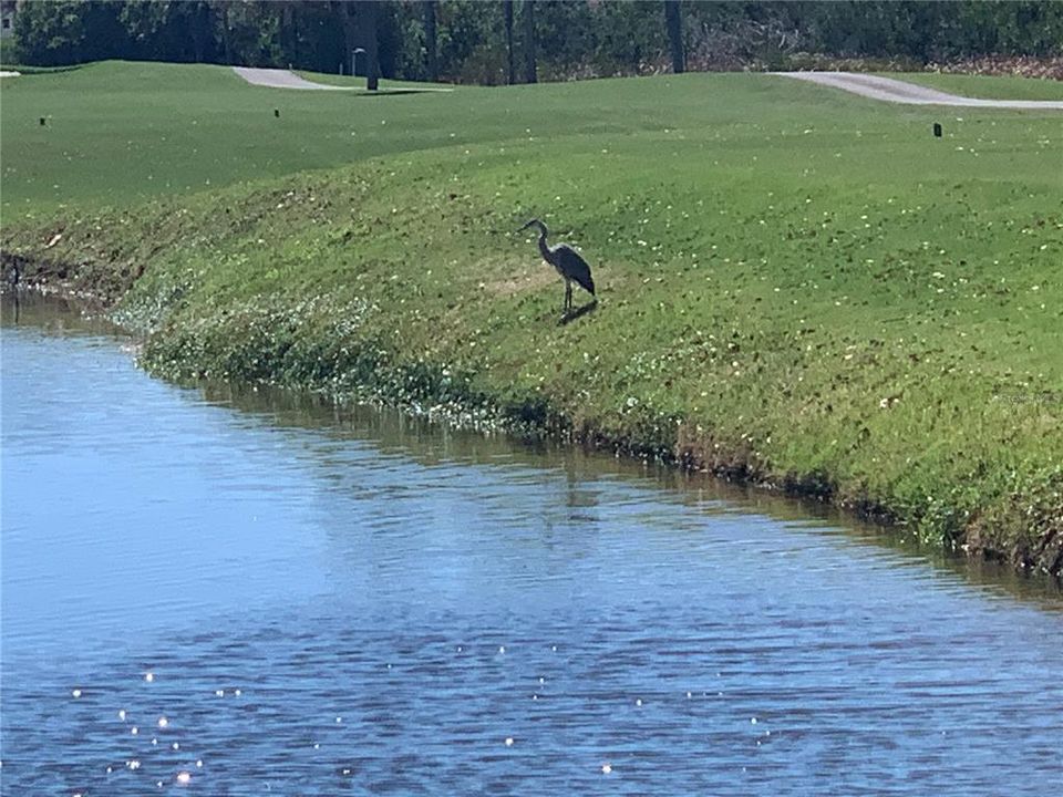 En Venta: $420,000 (2 camas, 2 baños, 1300 Pies cuadrados)