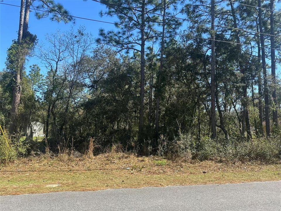 最近售出: $22,000 (0.31 acres)