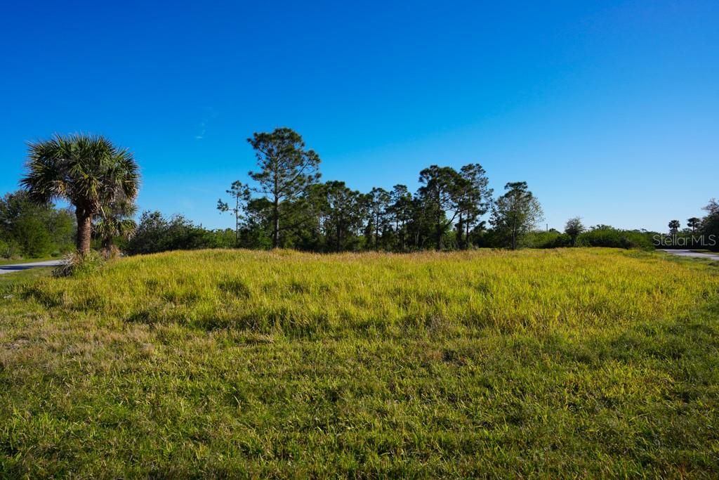 Active With Contract: $45,000 (0.89 acres)
