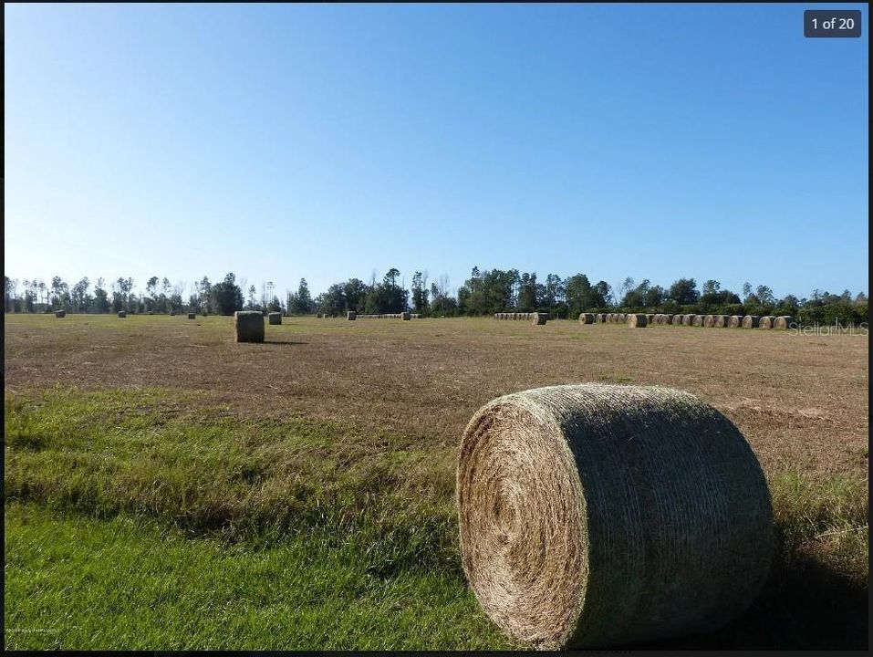 For Sale: $425,000 (10.11 acres)