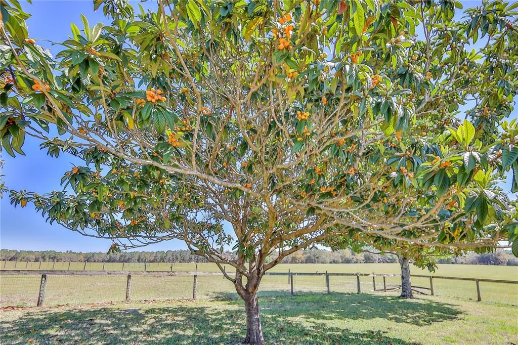 En Venta: $1,250,000 (5 camas, 3 baños, 4575 Pies cuadrados)