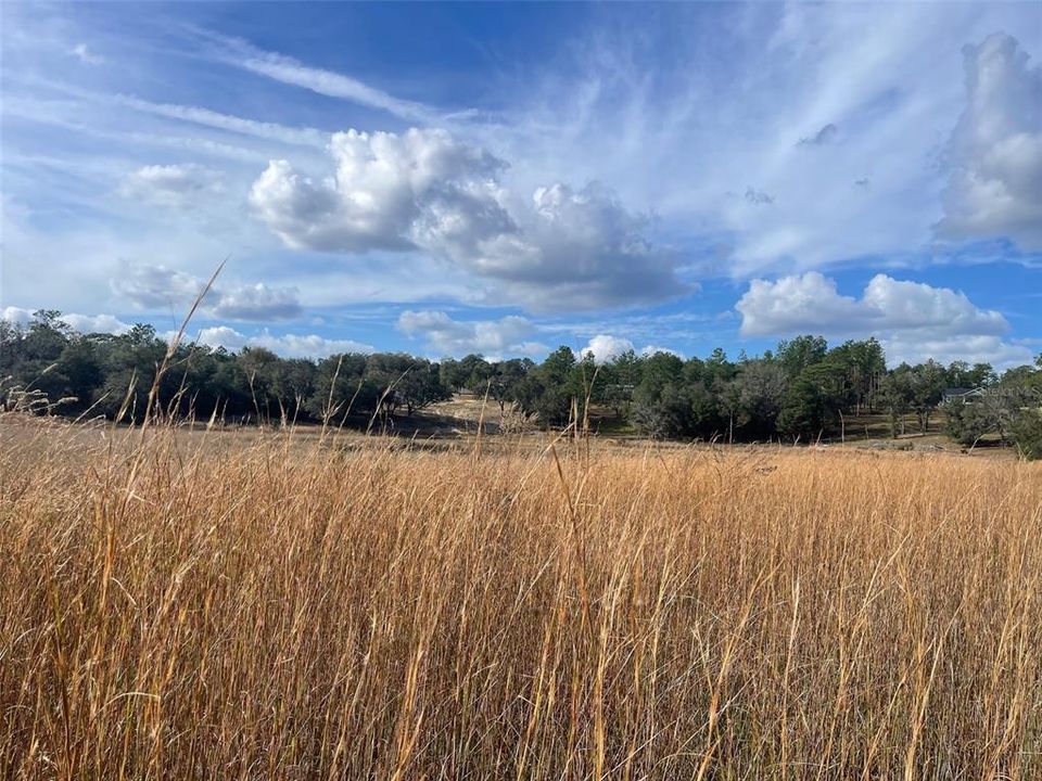 For Sale: $245,000 (3 beds, 2 baths, 1040 Square Feet)