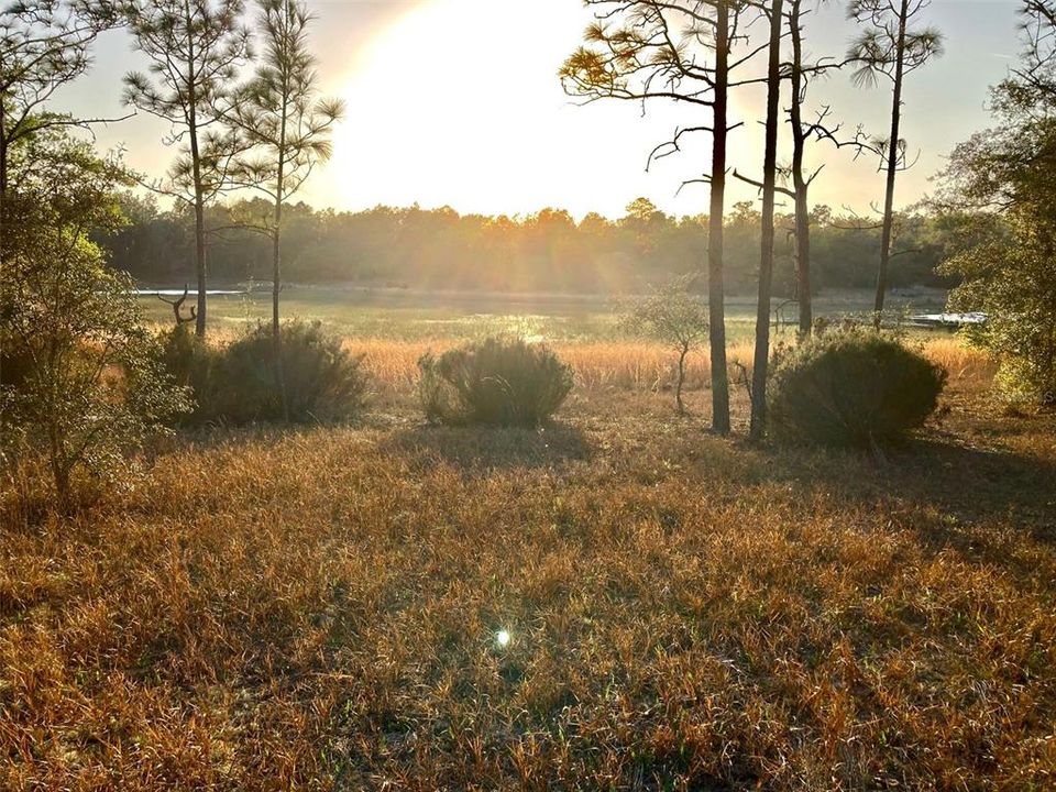 For Sale: $245,000 (3 beds, 2 baths, 1040 Square Feet)