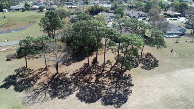 Active With Contract: $65,000 (0.53 acres)