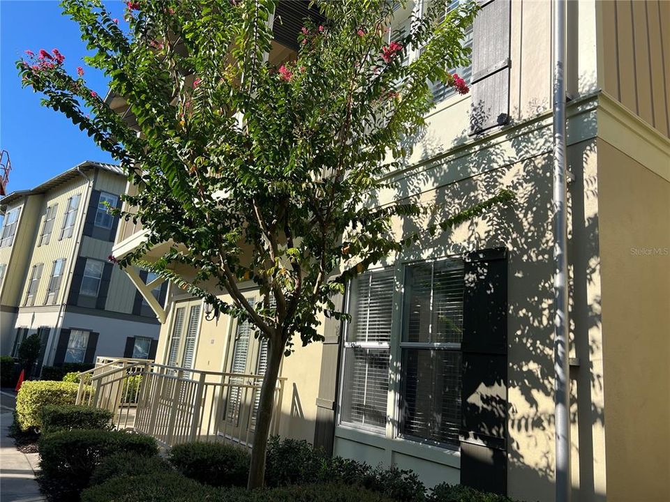 For Rent: $2,895 (2 beds, 2 baths, 1429 Square Feet)