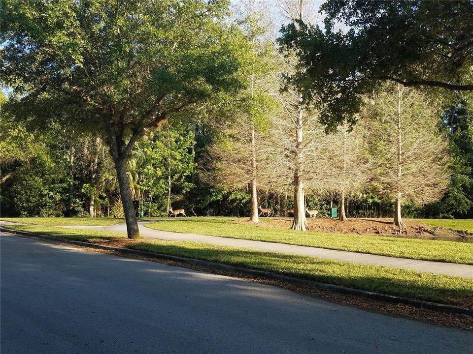 For Rent: $2,895 (2 beds, 2 baths, 1429 Square Feet)
