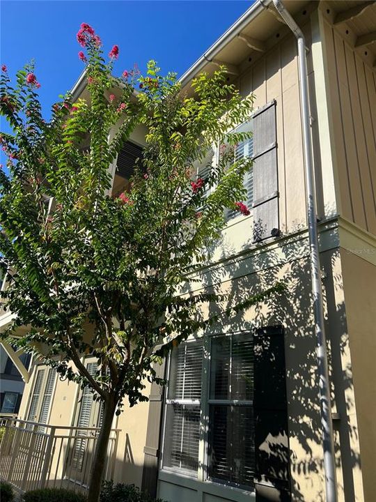 For Rent: $2,895 (2 beds, 2 baths, 1429 Square Feet)