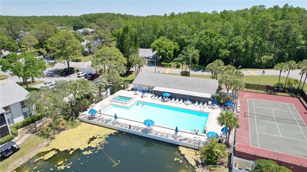 Под контрактом: $160,000 (2 спален, 2 ванн, 1038 Квадратных фут)