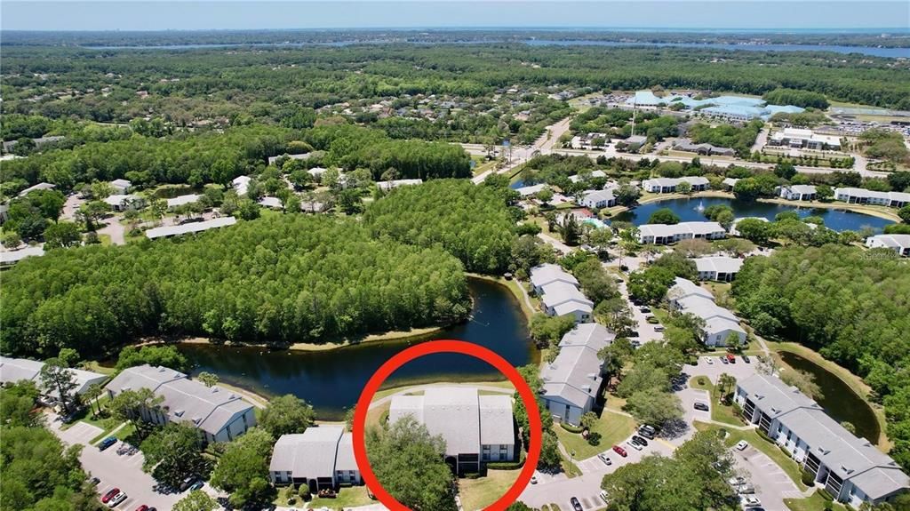 Под контрактом: $160,000 (2 спален, 2 ванн, 1038 Квадратных фут)