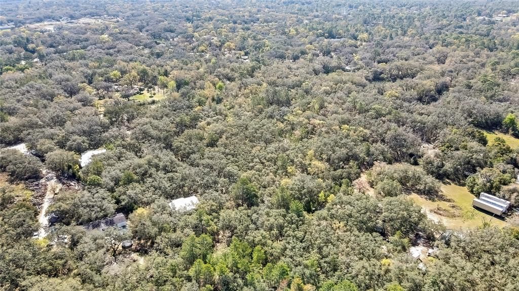 合同活跃: $219,999 (5.00 acres)