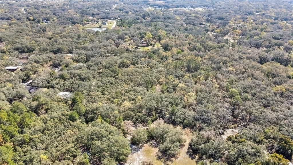 合同活跃: $219,999 (5.00 acres)