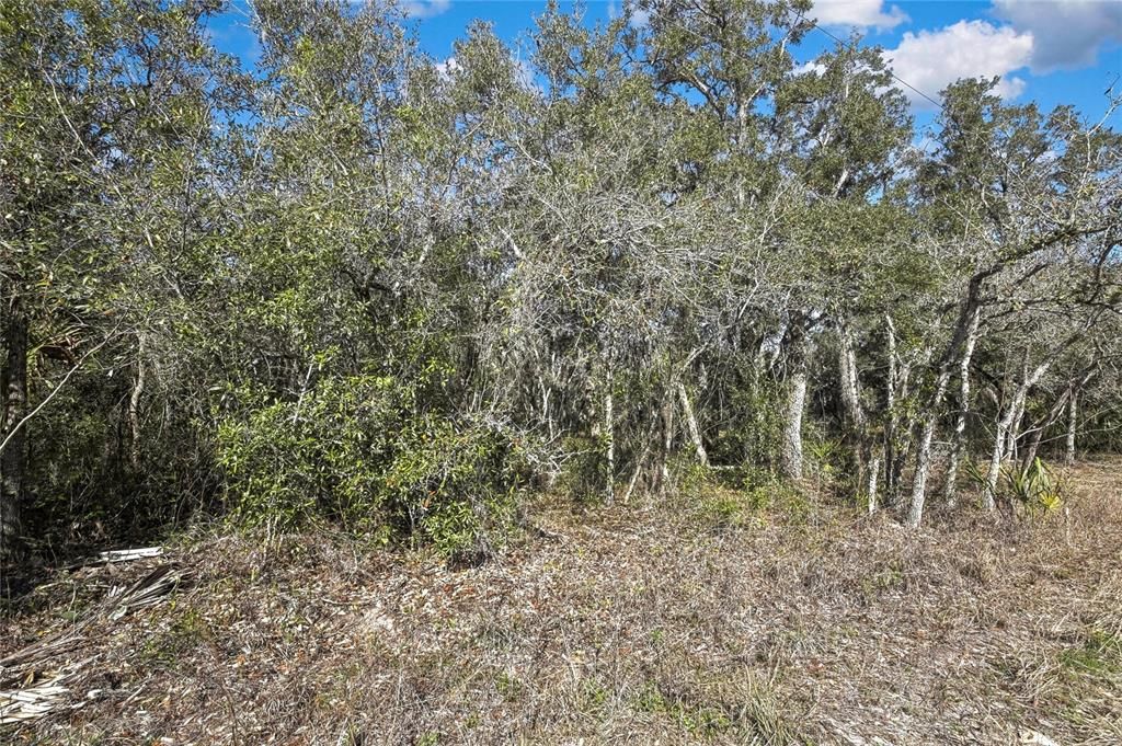 合同活跃: $219,999 (5.00 acres)