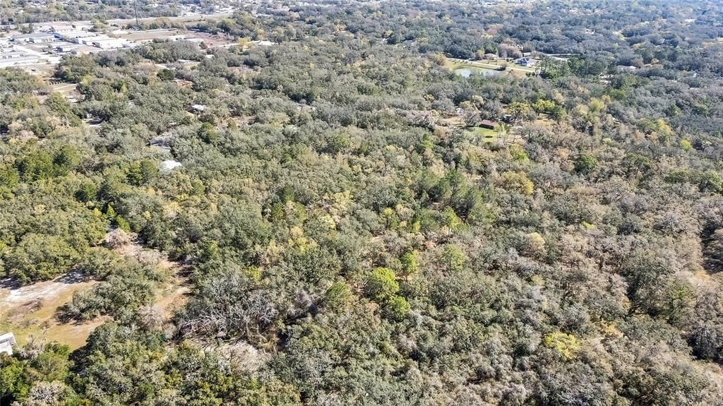 合同活跃: $219,999 (5.00 acres)