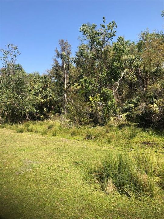 Recently Sold: $14,500 (1.03 acres)