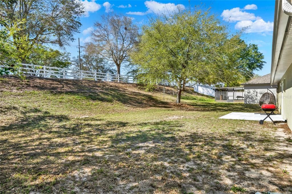 Spacious backyard