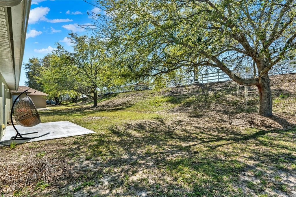 Spacious Backyard