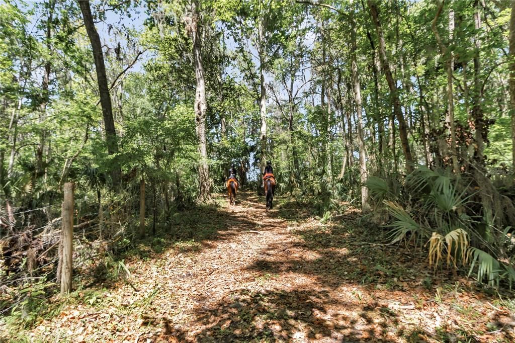 For Sale: $4,000,000 (6 beds, 5 baths, 6100 Square Feet)