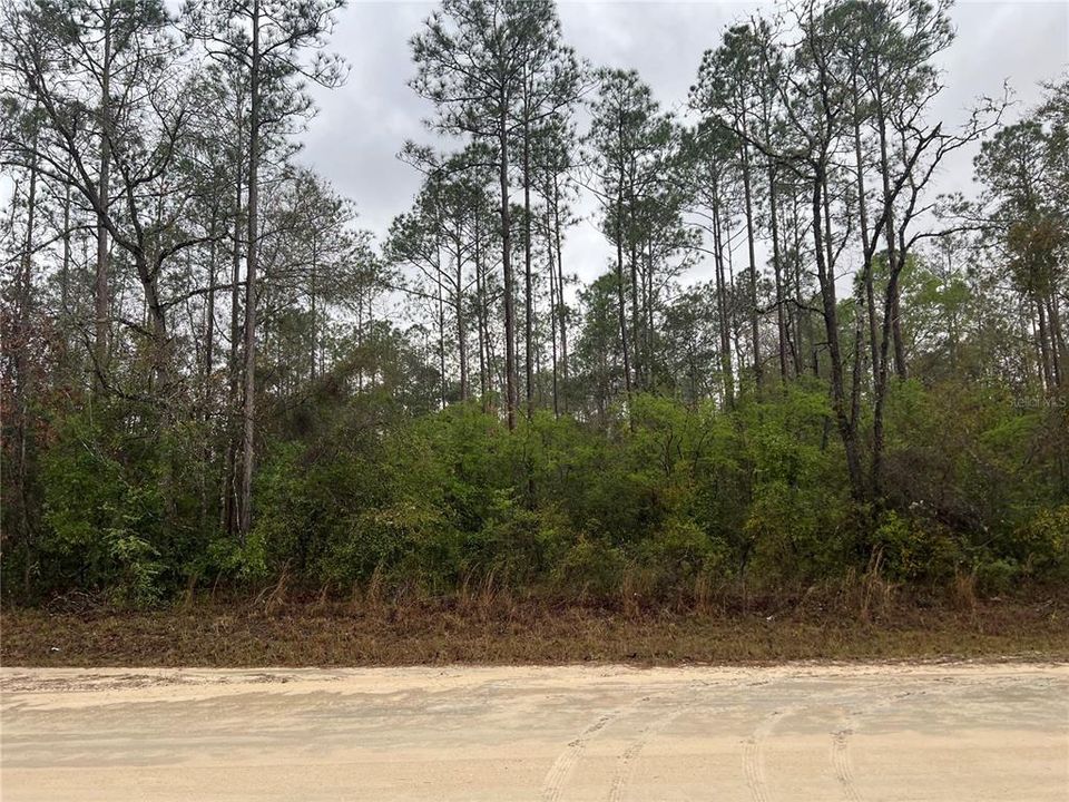 Recently Sold: $50,000 (3.00 acres)