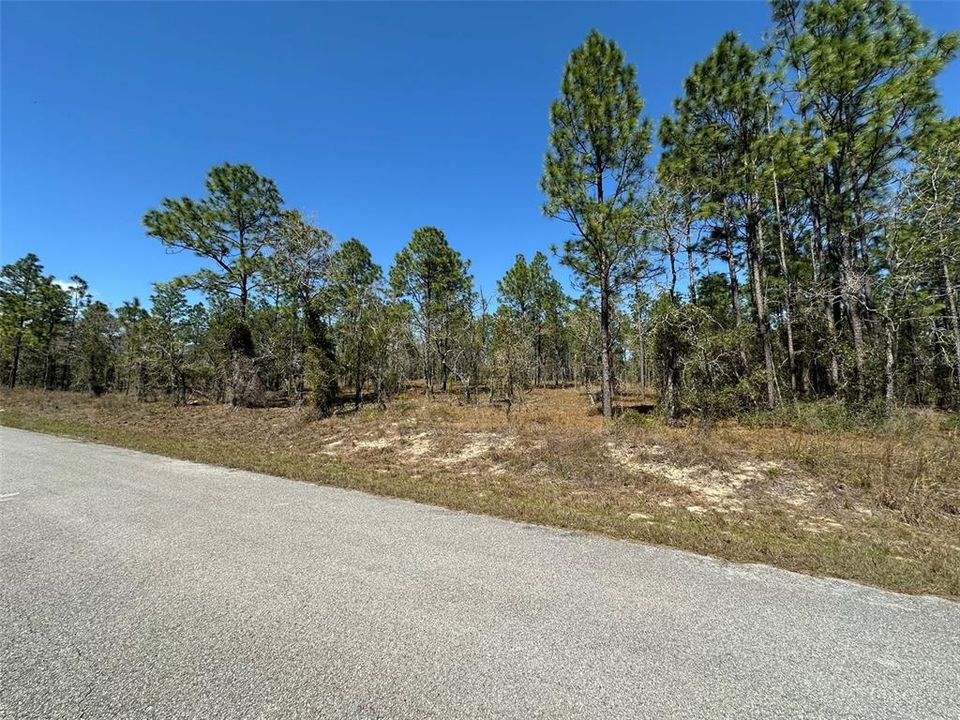 For Sale: $28,000 (1.00 acres)