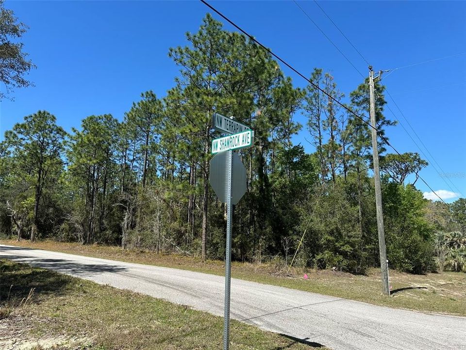 For Sale: $28,000 (1.00 acres)