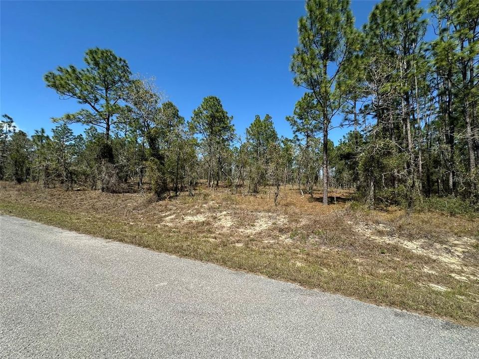 For Sale: $28,000 (1.00 acres)