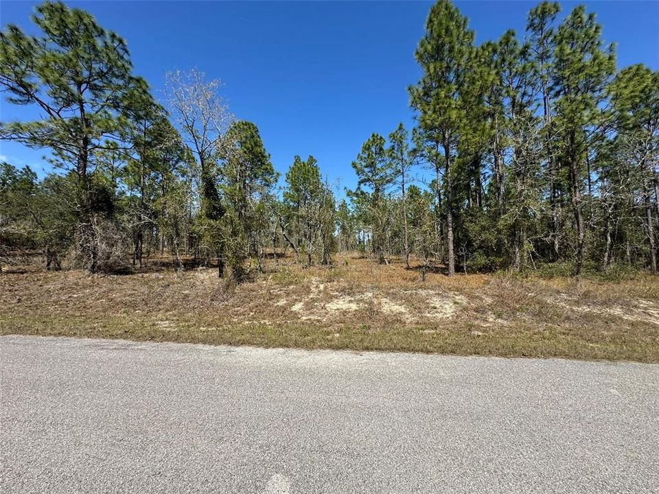 For Sale: $28,000 (1.00 acres)