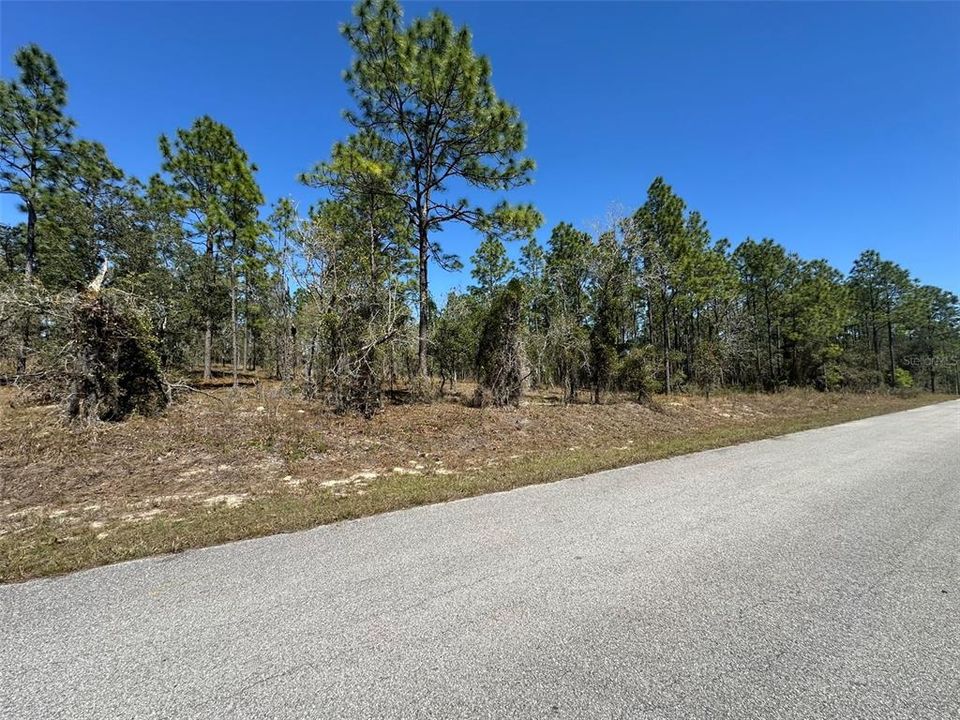 For Sale: $28,000 (1.00 acres)