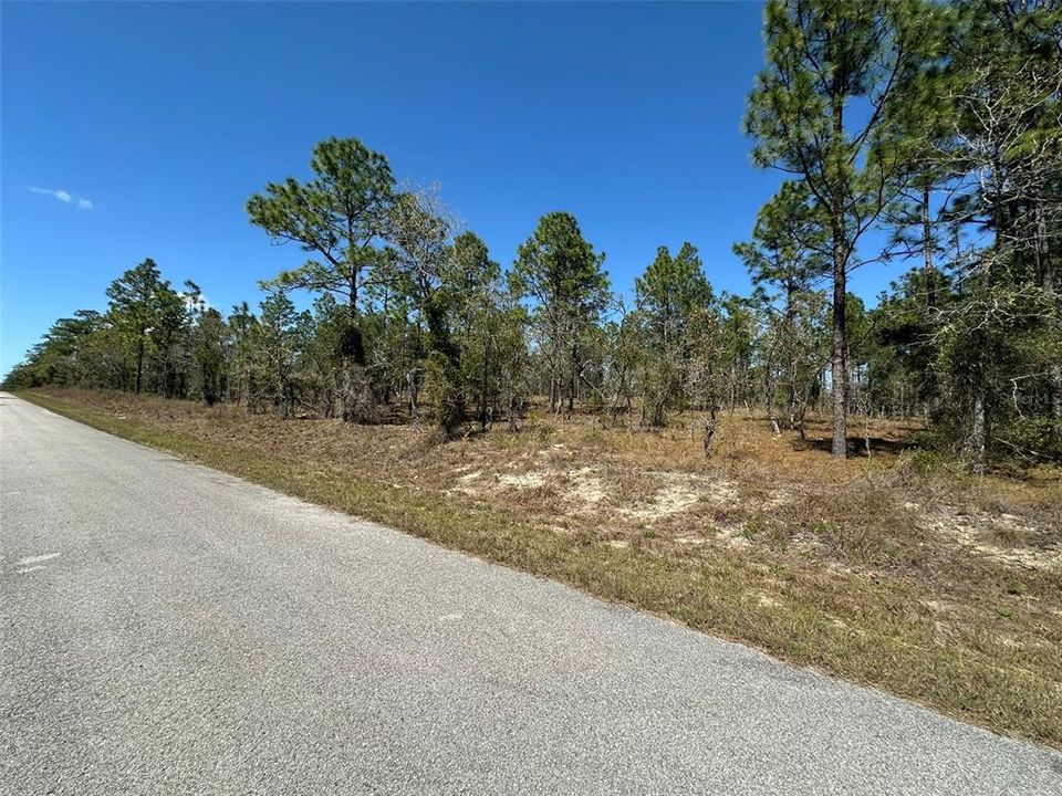 For Sale: $28,000 (1.00 acres)