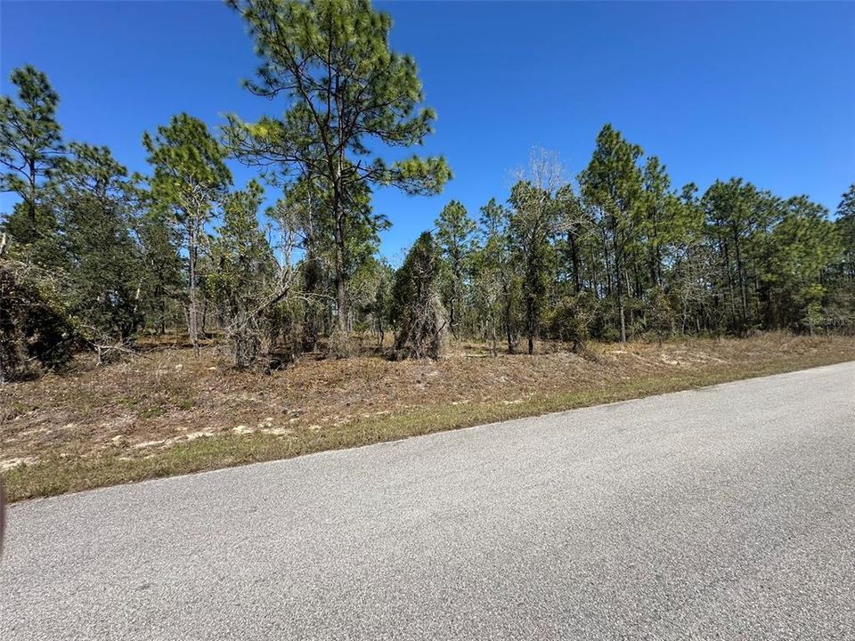 For Sale: $28,000 (1.00 acres)