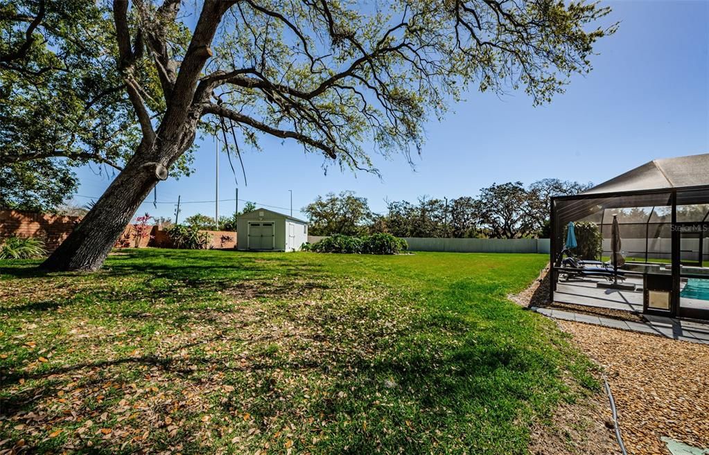 View of backyard, large shed and back of pool.