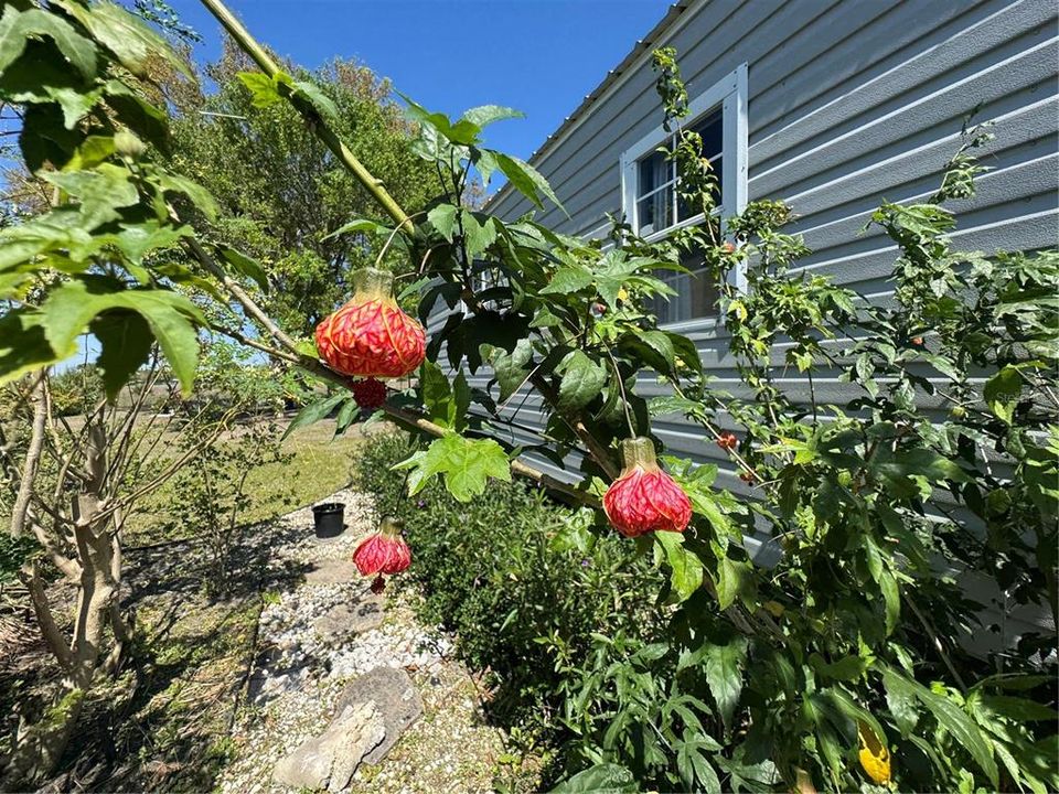 En Venta: $549,900 (3 camas, 2 baños, 2401 Pies cuadrados)