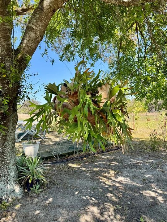 En Venta: $549,900 (3 camas, 2 baños, 2401 Pies cuadrados)