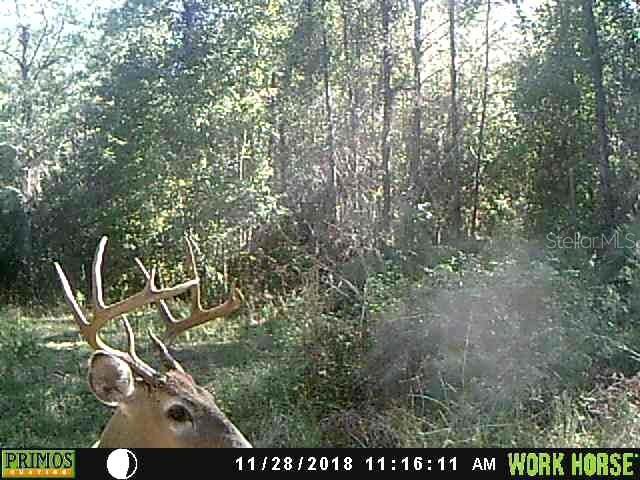 En Venta: $950,000 (2 camas, 1 baños, 784 Pies cuadrados)