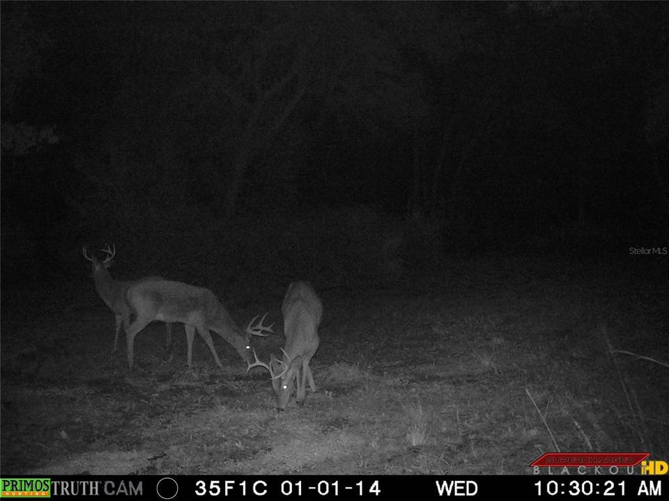 En Venta: $950,000 (2 camas, 1 baños, 784 Pies cuadrados)