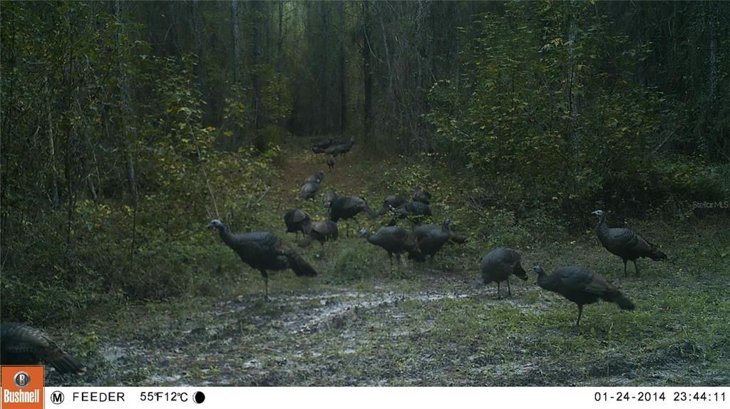 En Venta: $950,000 (2 camas, 1 baños, 784 Pies cuadrados)