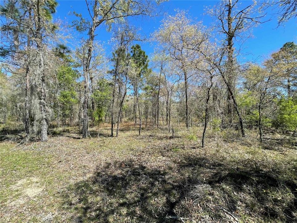 Недавно продано: $100,000 (5.00 acres)