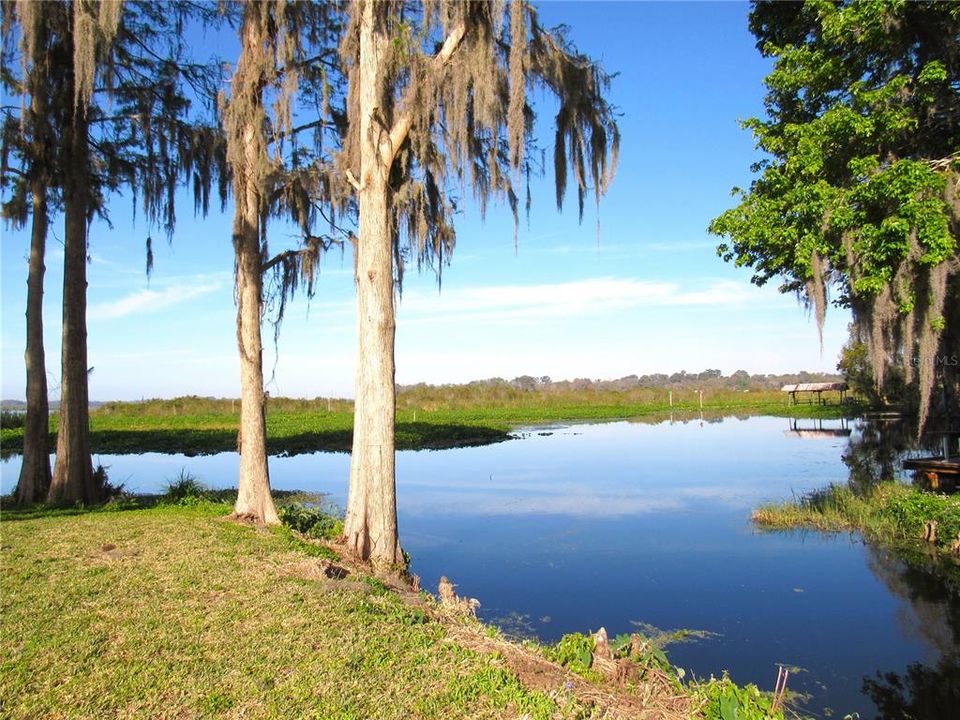 待售: $495,000 (3 贝兹, 2 浴室, 1423 平方英尺)