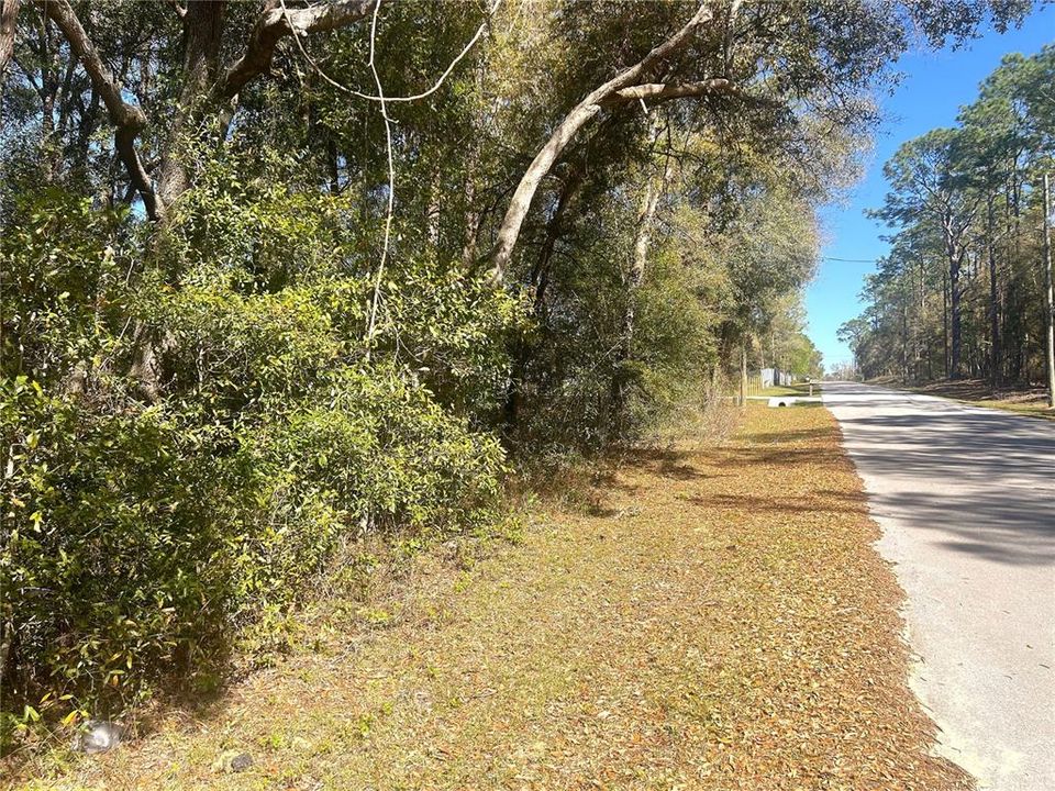 Activo con contrato: $38,500 (0.95 acres)