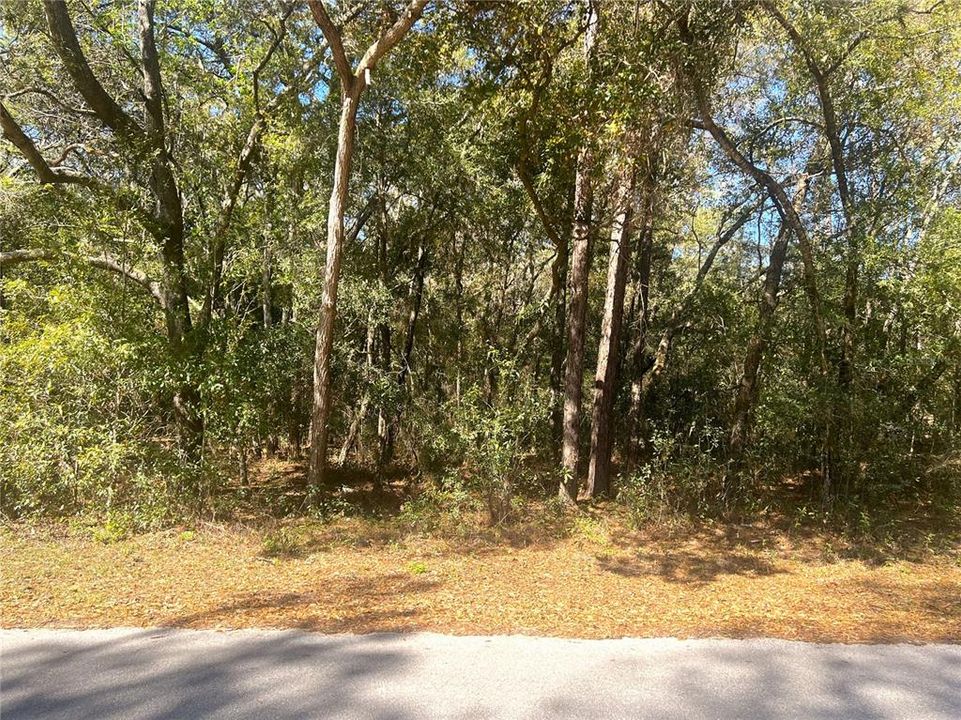 Activo con contrato: $38,500 (0.95 acres)