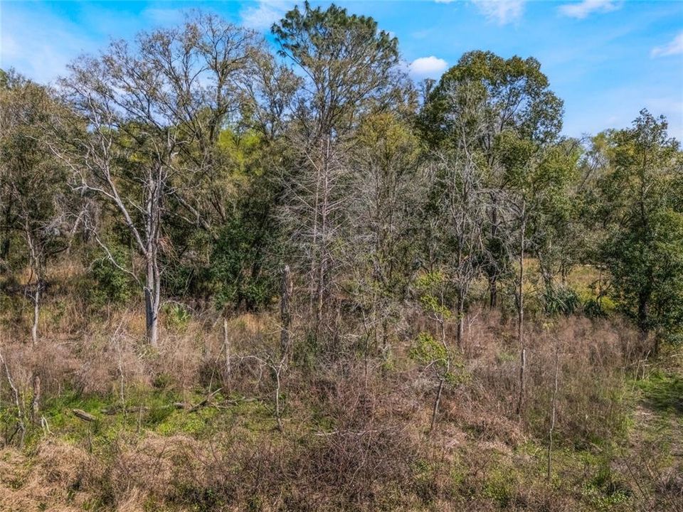 En Venta: $17,000 (0.50 acres)