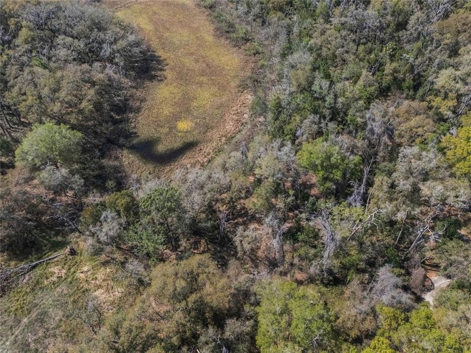 En Venta: $17,000 (0.50 acres)